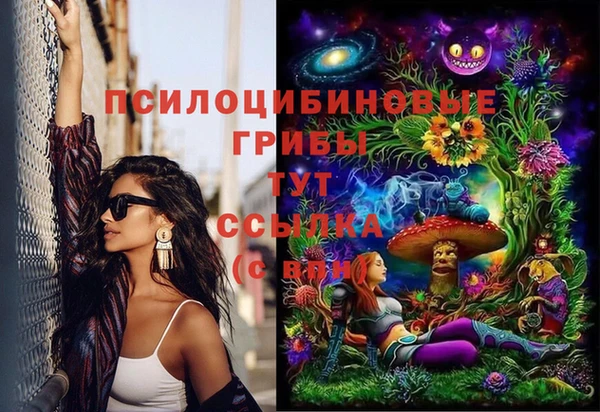 шишки Алексеевка