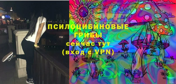шишки Алексеевка