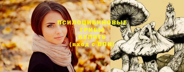 шишки Алексеевка