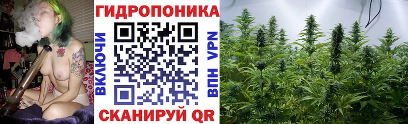 Каннабис план  Ставрополь 